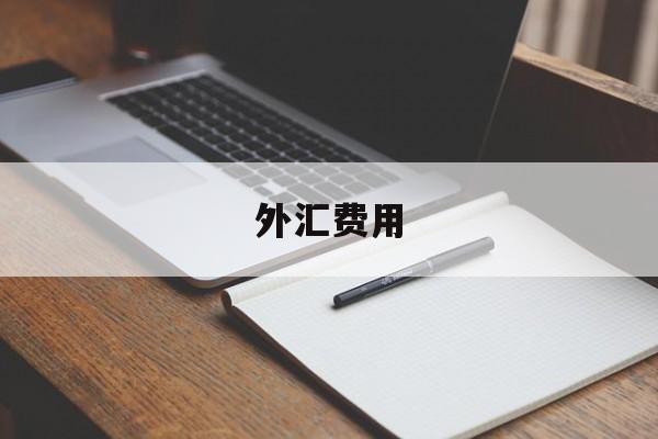 外汇费用(外汇费用承担方式DEBT)